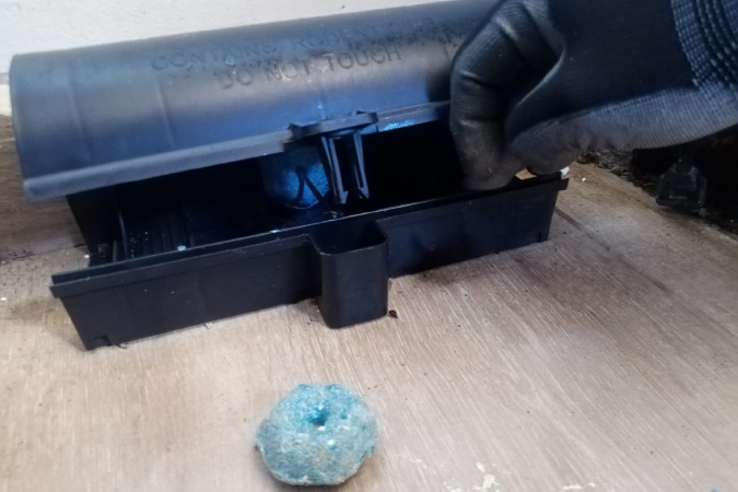 contro-roedores-principal