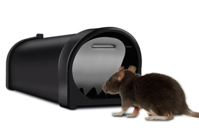 contro-roedores-process