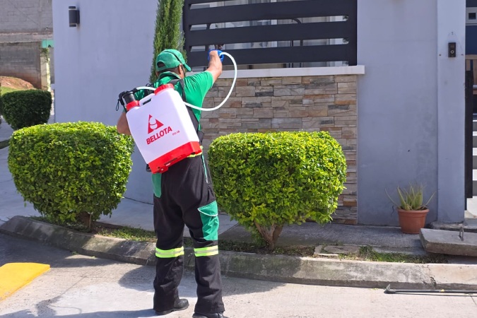 fumigaciones-service-process-01