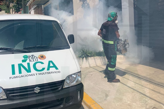 fumigaciones-service-process-02