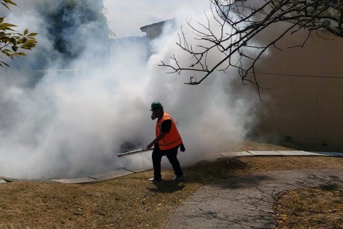 process-service-fumigacion